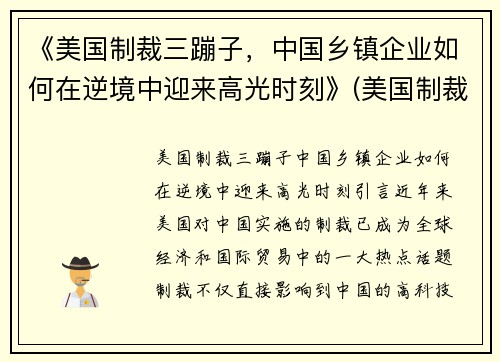《美国制裁三蹦子，中国乡镇企业如何在逆境中迎来高光时刻》(美国制裁34家)