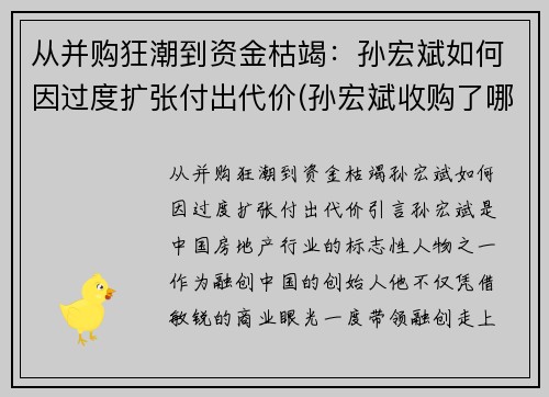 从并购狂潮到资金枯竭：孙宏斌如何因过度扩张付出代价(孙宏斌收购了哪些)