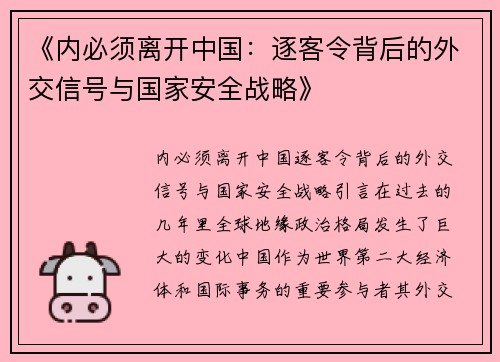 《内必须离开中国：逐客令背后的外交信号与国家安全战略》
