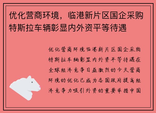 优化营商环境，临港新片区国企采购特斯拉车辆彰显内外资平等待遇