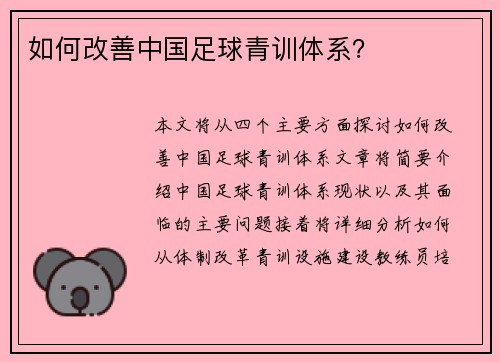 如何改善中国足球青训体系？