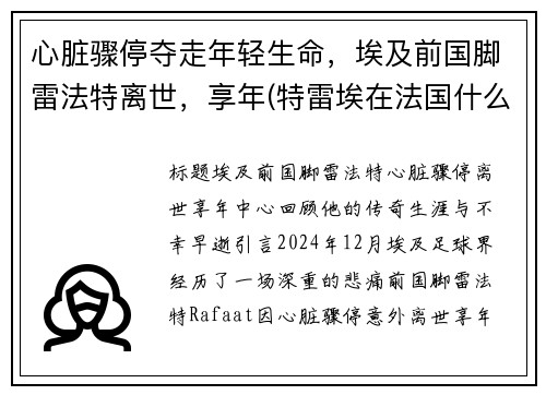 心脏骤停夺走年轻生命，埃及前国脚雷法特离世，享年(特雷埃在法国什么位置)